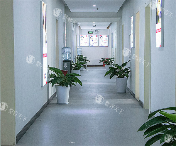 洛阳西工区毛大夫普潇擅长做什么?擅长眼|鼻|隆胸|脂肪填充,在线预约很便捷!