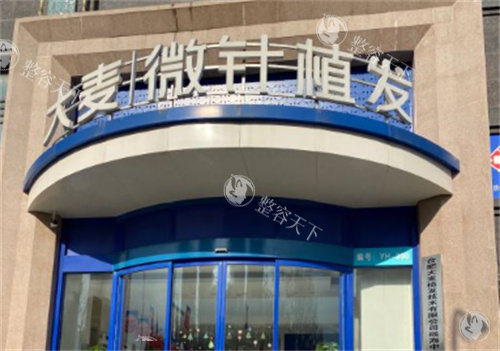 合肥大麦微针植发好不好？从技术、医生、结果、价格到口碑的全维度测评