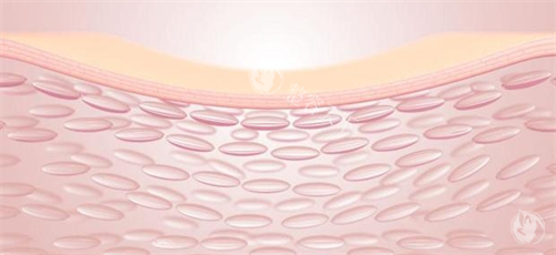 胶原蛋白针哪个牌子比较好？网红体验后为你推荐这几款口碑爆棚的国货之光！