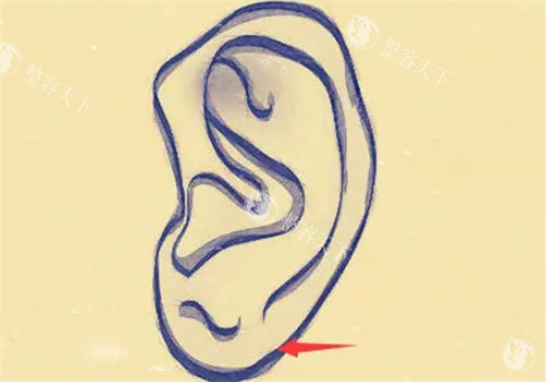 耳朵反骨的人真的能成大器吗？面相学解析+真实术例，看完你就信了！