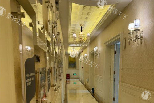南宁华美整形 2025 价格表查询：提眉6800 元起、假体隆鼻8800 元起、腹部吸脂12000 元起