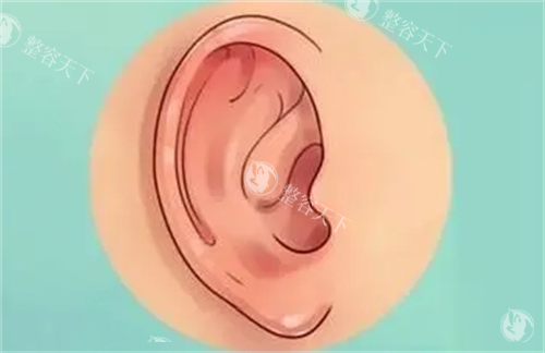 求证!上海东方丽人吴建明医生正规吗?解析耳畸形再造技术资质口碑,都很有实力!