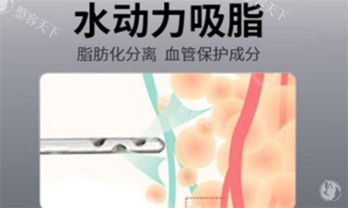 深圳脂肪填充口碑医院名单盘点!李闯/梁晓健/陈旭医生技术解析+价格对比|避坑必看!