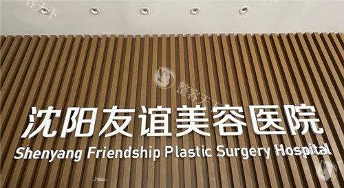 沈阳友谊整形logo墙
