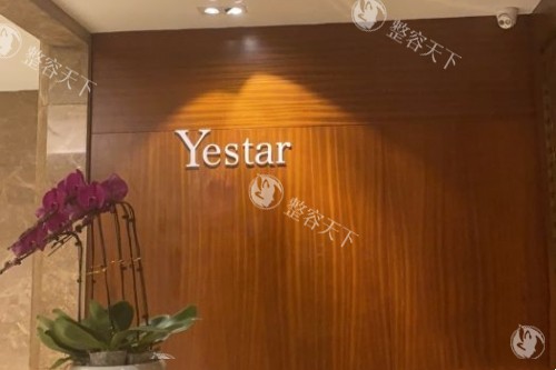 西安艺星整形logo