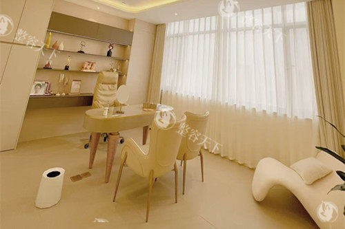 西安叶子海豚整形方案室