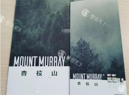 杏枝山宣传册展示