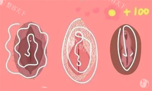 私密漂红卡通图