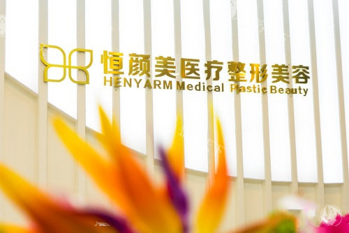 湖州恒颜美整形logo图