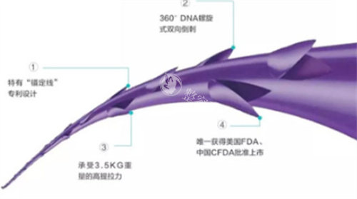 PPDO线示图