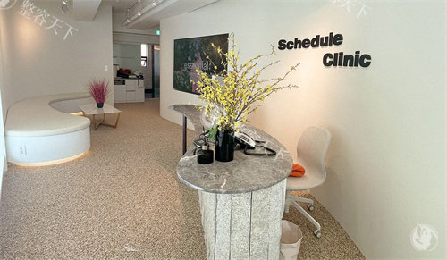 韩国schedule clinic皮肤科收费：皮肤检测5万韩币起，2025年价格稳定！