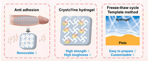 生物补片增大增粗照片