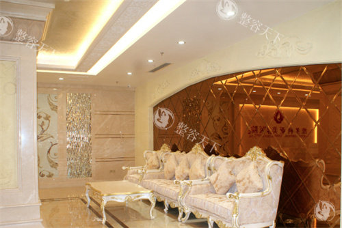 三亚维多利亚医疗美容医院沙发