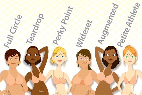 不同的胸型