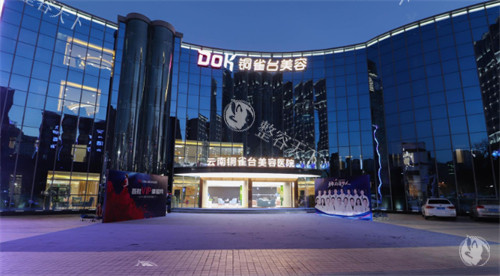 铜雀台能植发吗？川渝/昆明多城有服务，FUE/微针技术可选，毛囊损伤率低于3%，附医生名单！