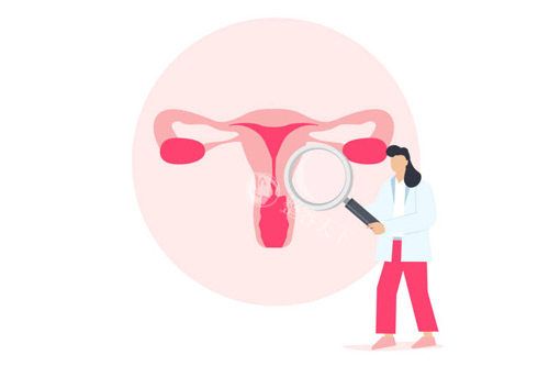 女性私密处卡通图