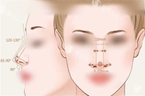 隆鼻后正面侧面展示图