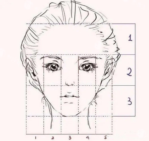 面部美学比例.webp