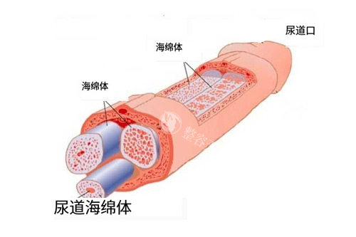 九龙医院男科预约挂号攻略：电话预约、官网预约、现场到院预约做男性生殖手术项目都可以！