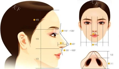 广州做鼻子比较出名的医生推荐：易普锋/高顺福/张思华医生