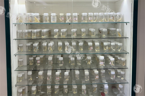 广州广大整形医院怎么样？荔湾西湾路138号|3级资质|3D导板正颌技术强