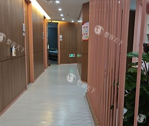 深圳艺星整形过道区