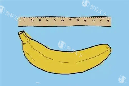 男性私密卡通图