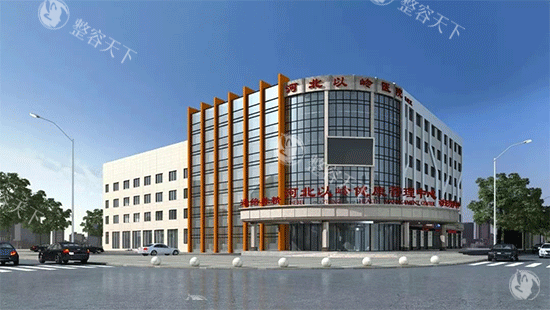 河北以岭医院是私立吗？实力解析，虽是私立但技术扎实口碑佳！