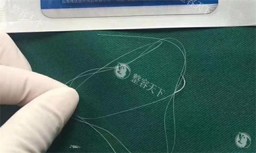 蛋白线单线展示