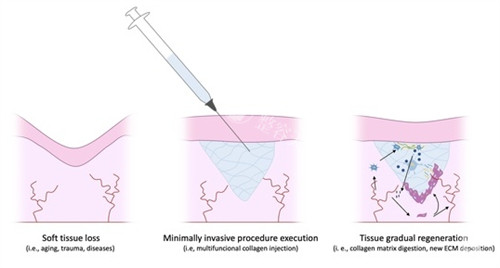 注射不明注射物过程