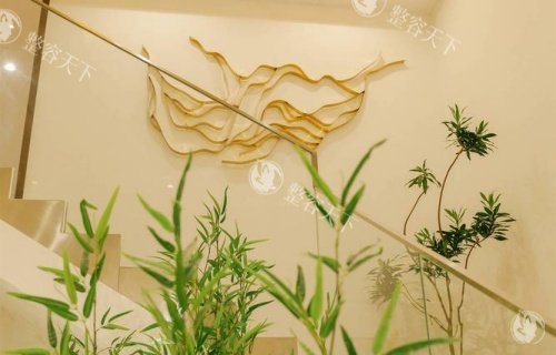 深圳伽美贝拉整形楼梯处示意图