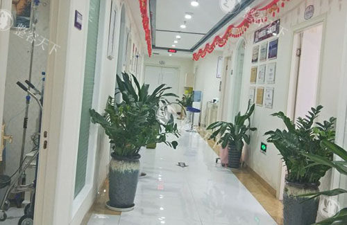 金华丽都整形走廊环境图