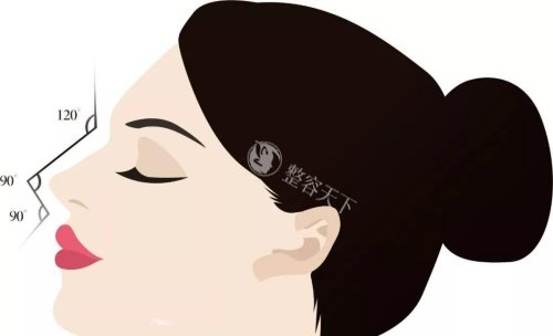 24小时鼻子整形免费在线询问！假体/玻尿酸隆鼻等项目疑问，即时响应+无门槛答疑