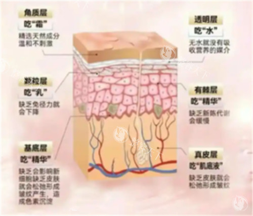 24小时皮肤科免费在线询问！各类皮肤问题一站式解答，正规建议+无门槛沟通超省心