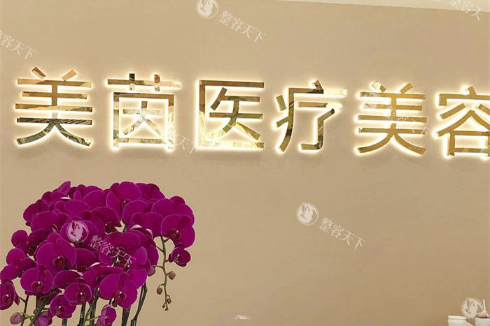 成都美茵医疗美容logo墙