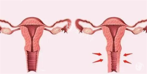 合肥民众医院私密科简介？专注女性私密健康与整形，分型诊疗方案比较准，隐私保护到位，体验舒适