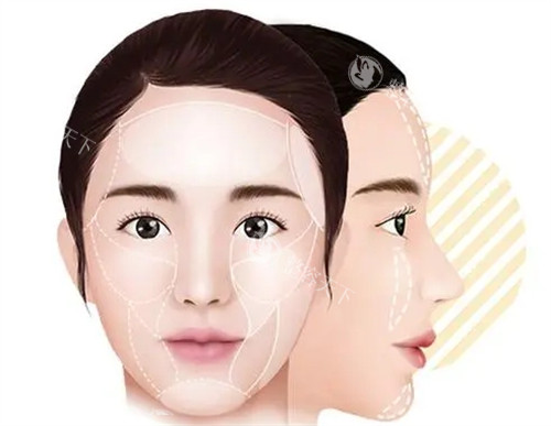 馒化脸需要修复部位图解