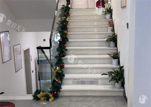 成都华生铂悦整形楼梯