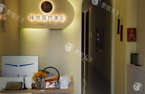 邢台臻悦整形前台logo示意图