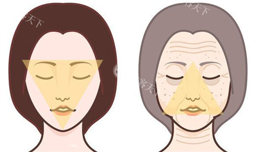 年轻与老化的皮肤