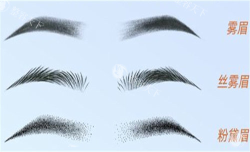 眉毛的各种形态