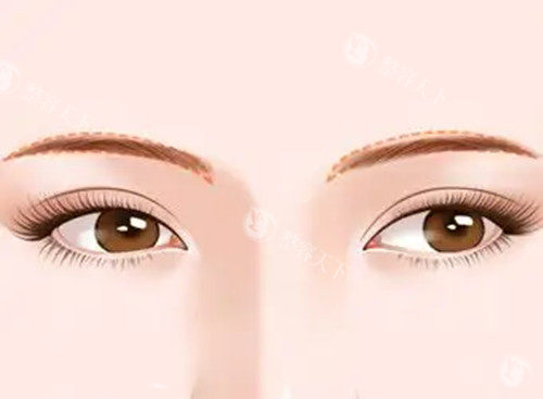 眉毛纹绣卡通示意图