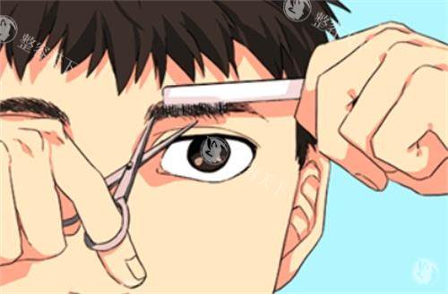 男士眉毛展示图