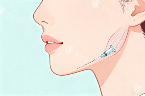 脸部注射美容卡通图