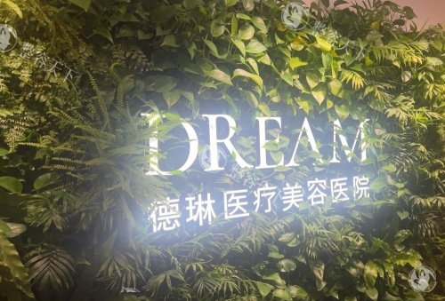 上海德琳整形logo示意图