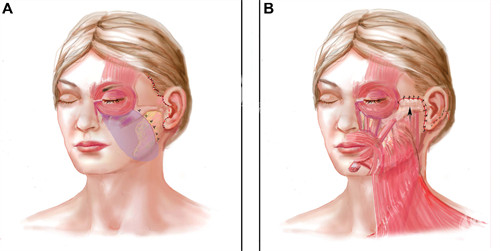 大连京城皮肤科医院看的怎么样？超优质！各类皮肤病诊疗技术硬，医师经验充足，个性化方案定制，治疗结果稳，大连看皮科标杆