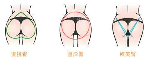 多种臀部形态素材图片