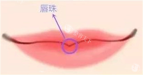 想拥有时刻上扬的微笑唇？先别急着做，这篇超全科普请收好！