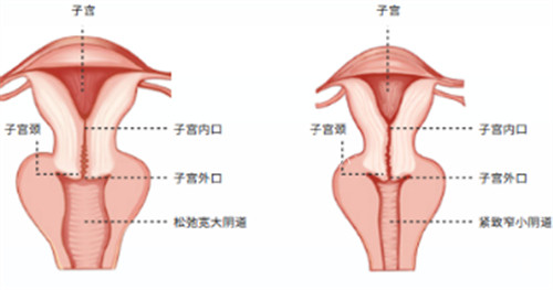 查看2026武汉女性私密价格一览表！阴道紧缩4000元起，小阴唇整形5000元起！明细请收好！