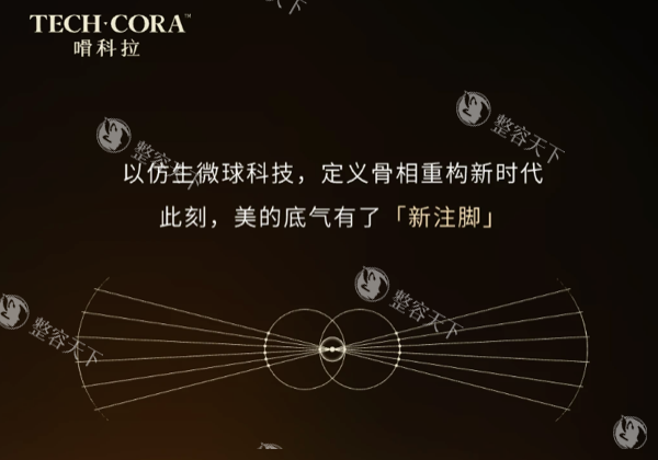 嗗科拉优势.png